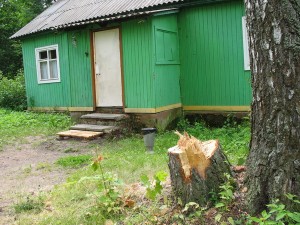 Вид на крыльцо финского дома